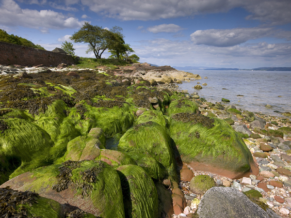 Beach scene from Kerrycroy, Isle of Bute, Argyll, Scotland, United Kingdom. (Photo by: UIG via Getty Images)